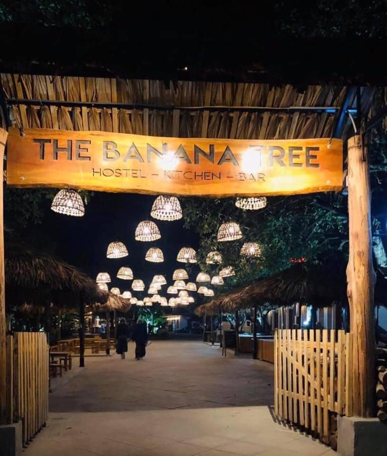 The Banana Tree Hostel Ninh Bình Ngoại thất bức ảnh